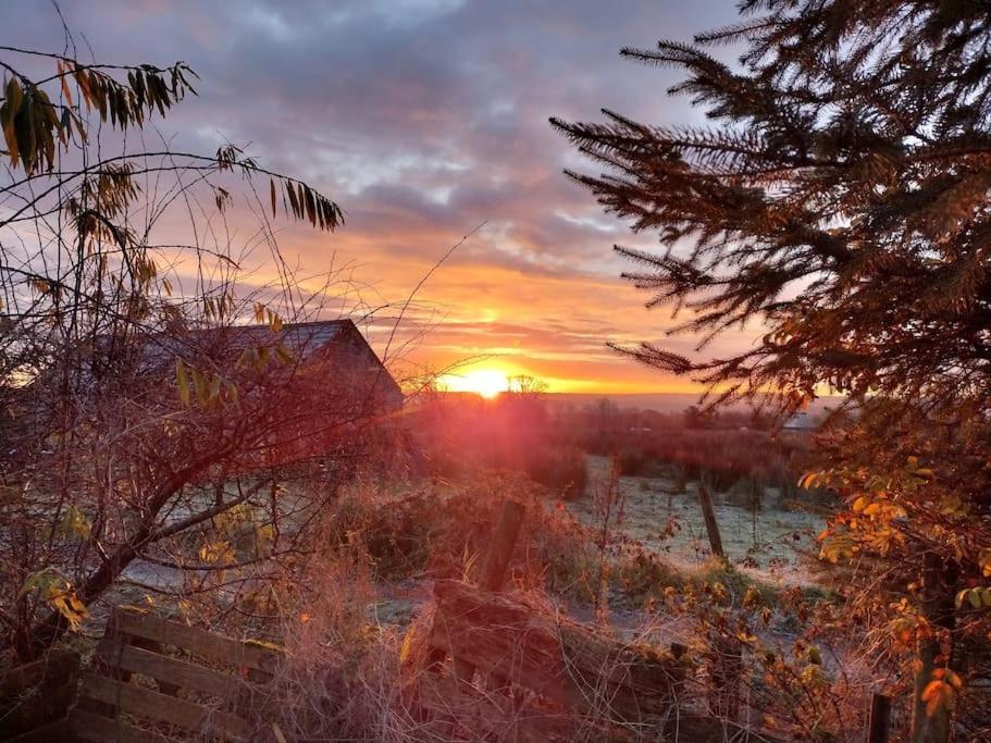 Forest View Cabin Ballaghaderreen Екстер'єр фото