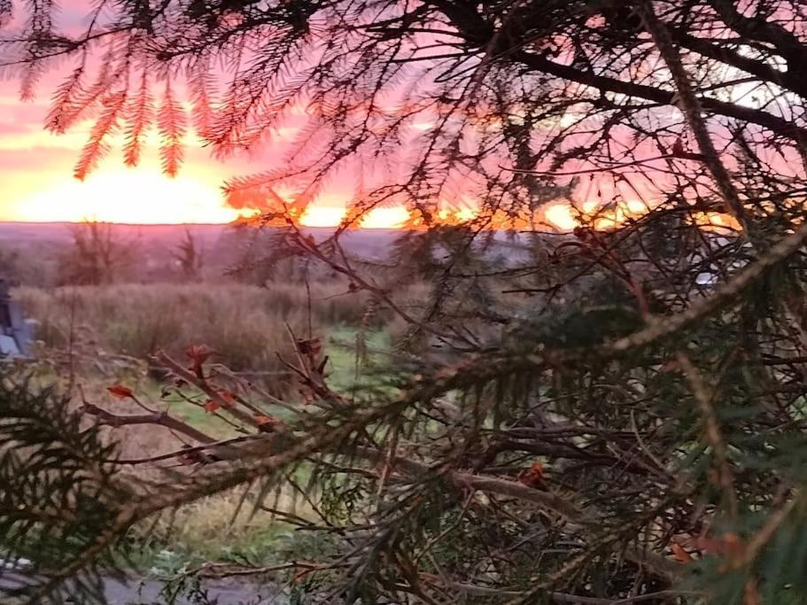 Forest View Cabin Ballaghaderreen Екстер'єр фото