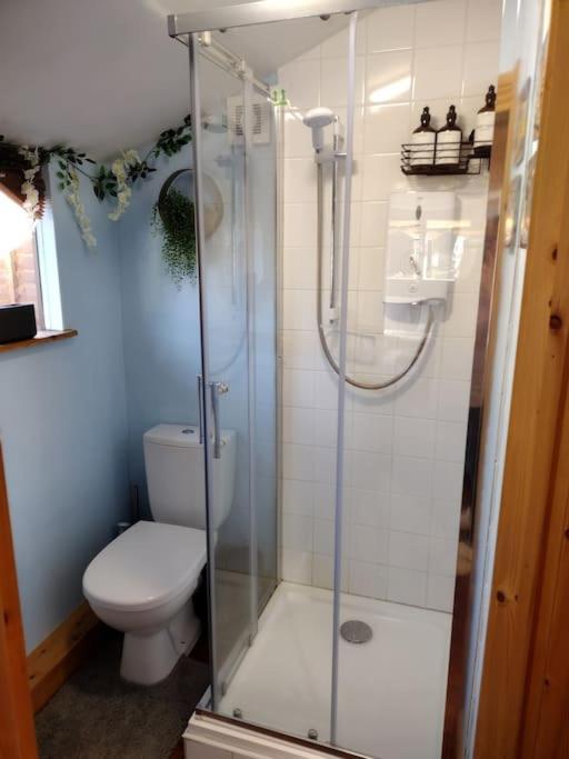 Forest View Cabin Ballaghaderreen Екстер'єр фото
