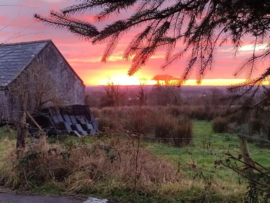 Forest View Cabin Ballaghaderreen Екстер'єр фото