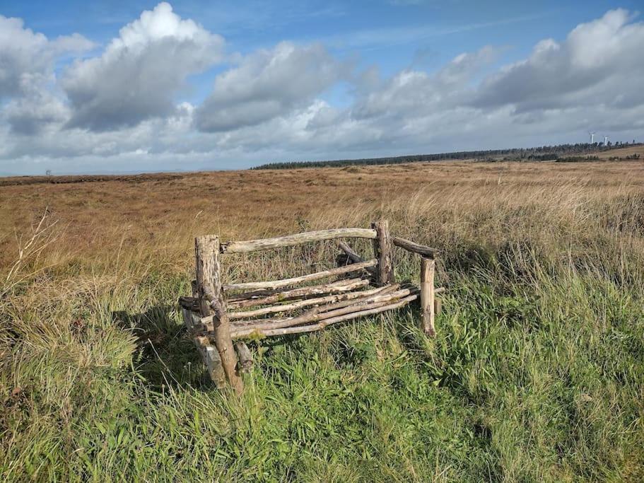 Forest View Cabin Ballaghaderreen Екстер'єр фото